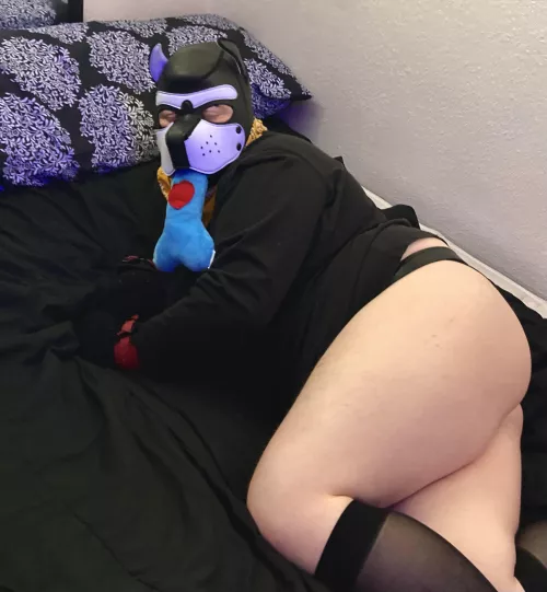 A silly doped up puppy at your disposal :) by Astro__Mutt