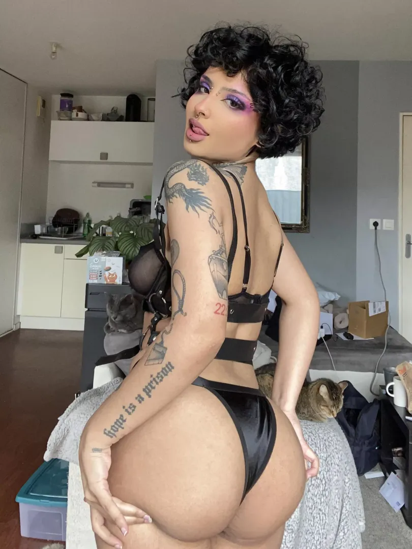 a thick chick🖤 posted by N2414L