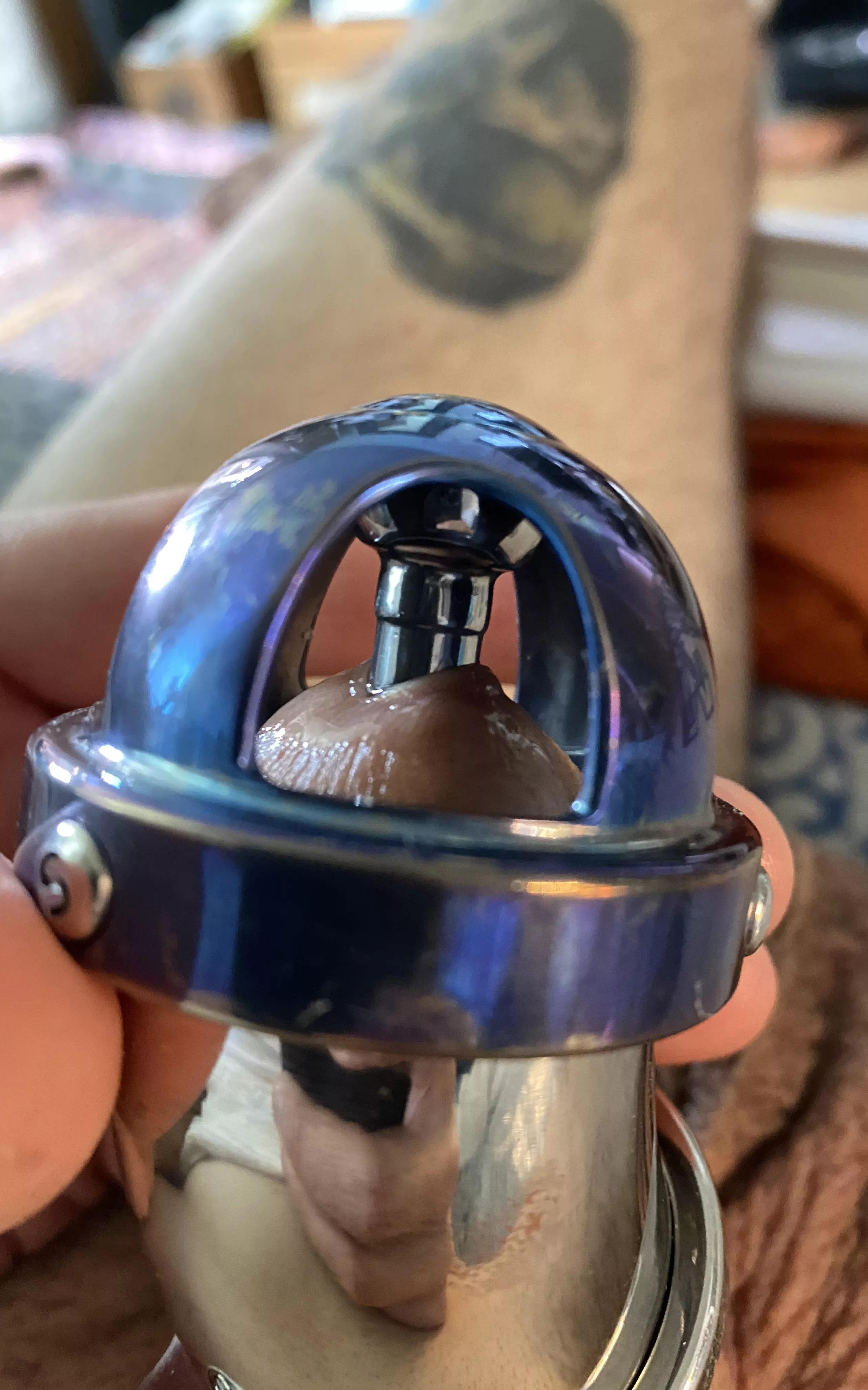 A titanium Steelwerks all plugged up. posted by LSlaveM