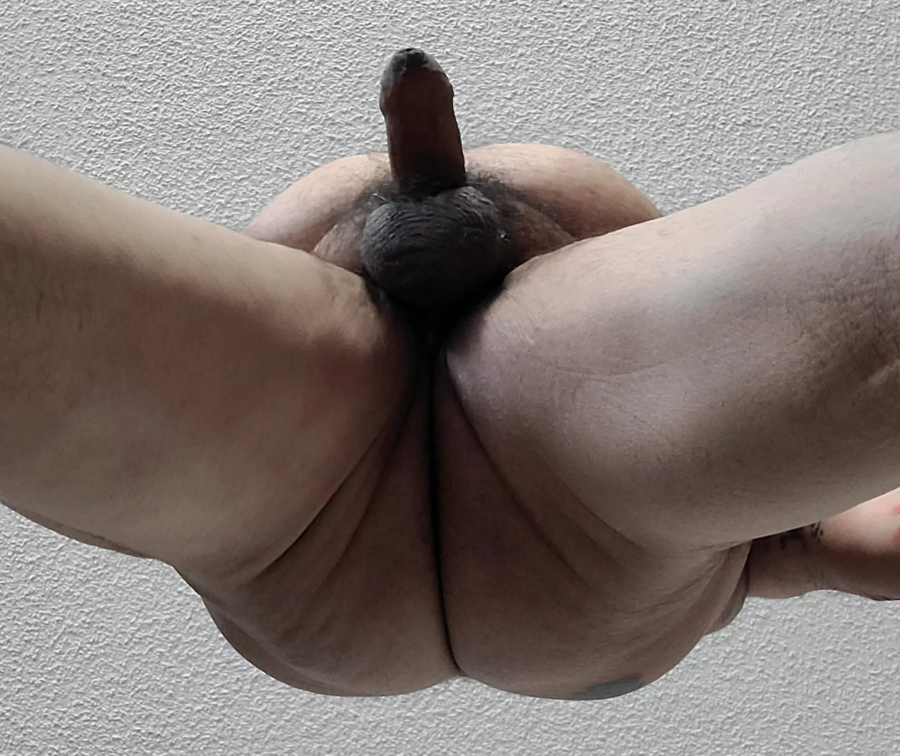 A view from below. posted by inkedhairybaer