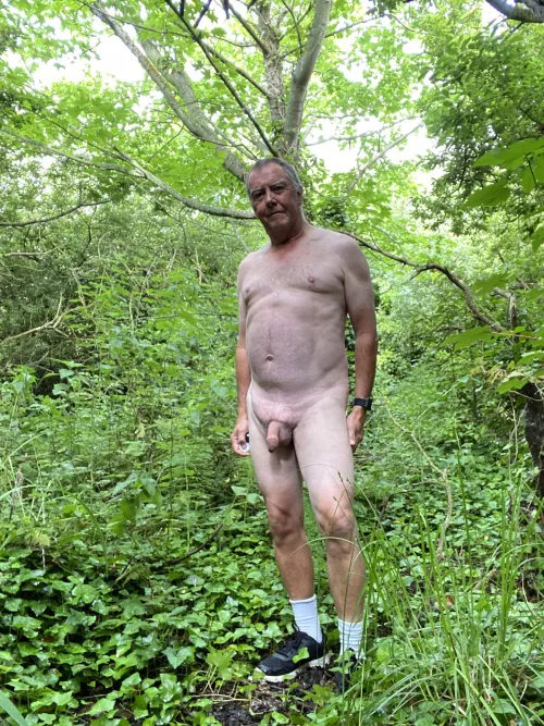 A walk in the woods by BrianGH1