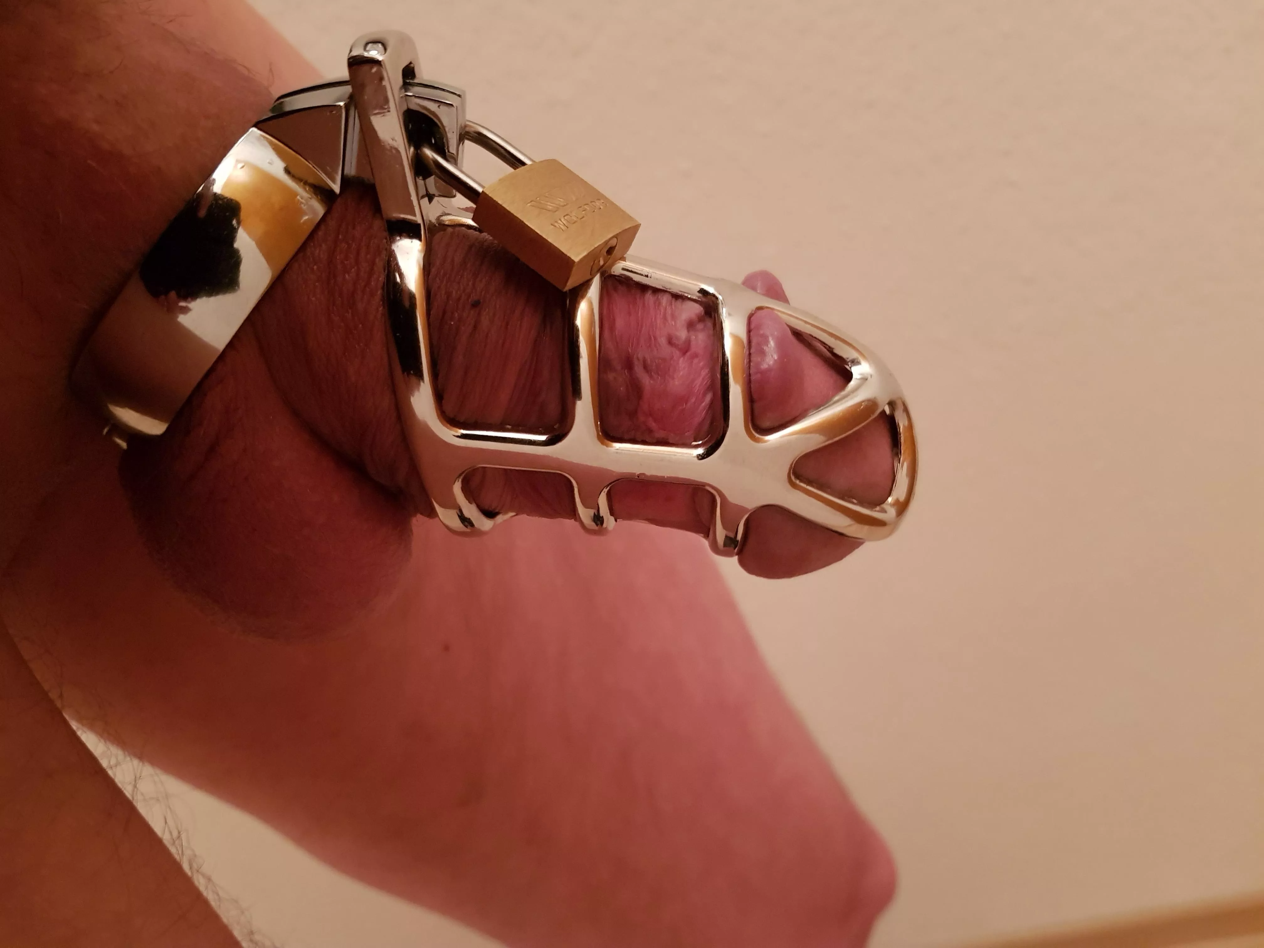 a weekend in the cage and a happy hotwife posted by blackangelsun