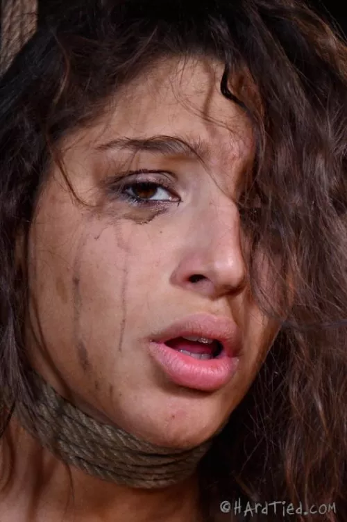 Abella Danger Used and Degraded by synthsexual