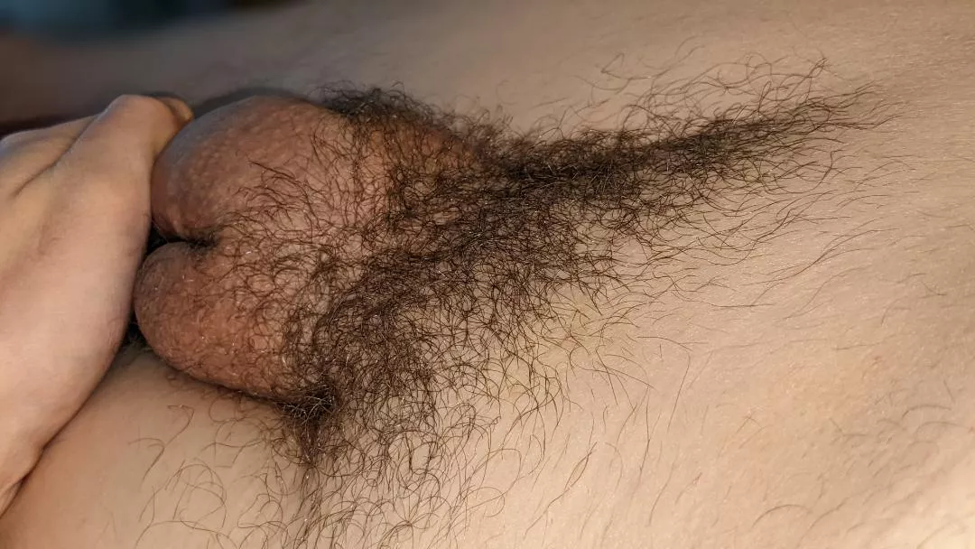 about 1 month of growing my pubes back posted by me_him_