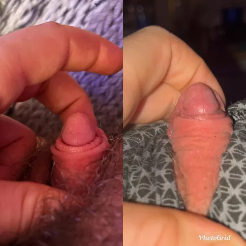 about a month and a halfs worth of growth, and i couldn’t be more proud by Sweaty-Assumption184