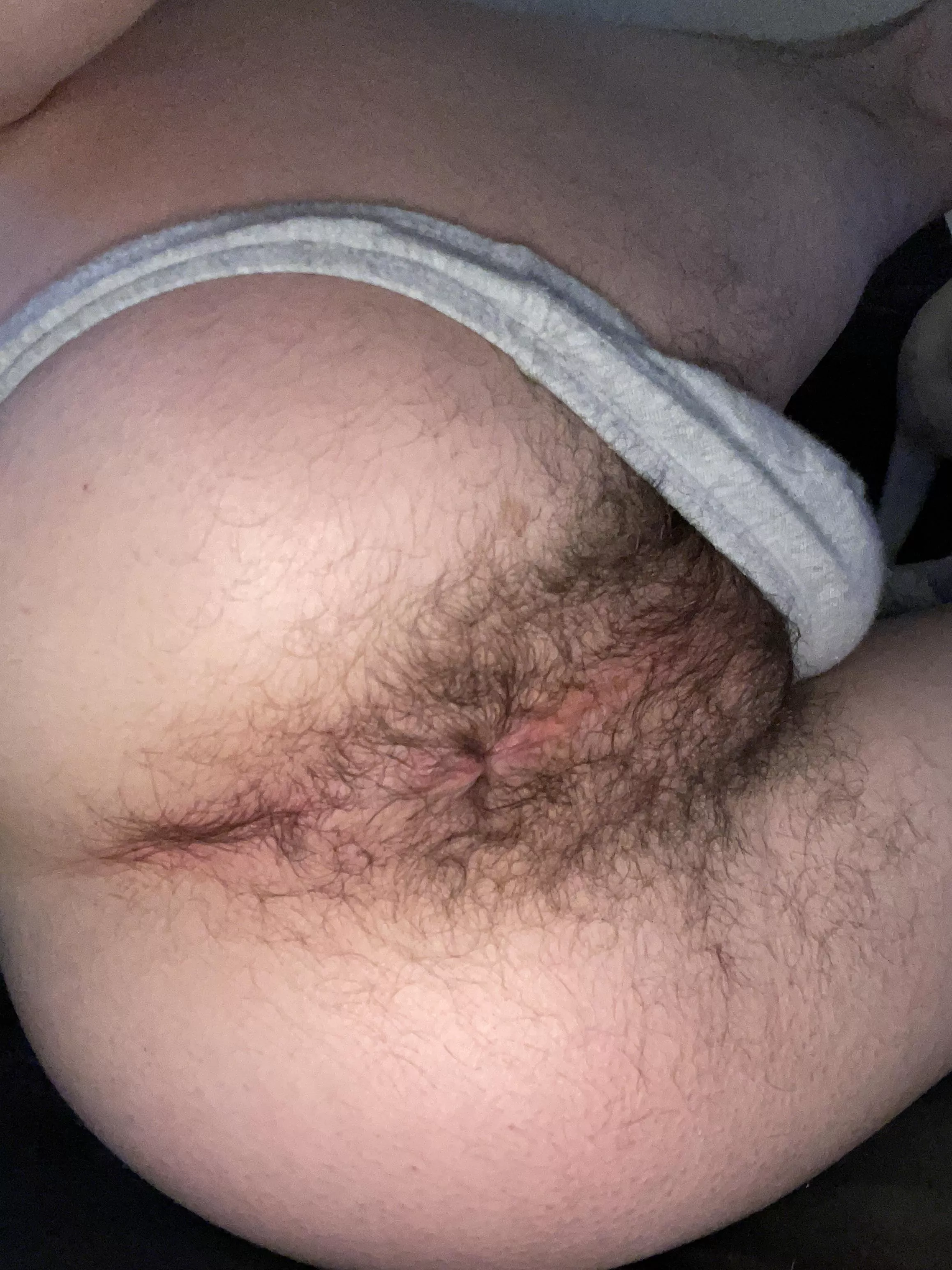 About to put a big plug in my hole, let’s chat if you wanna see ! posted by Usedjockstrap