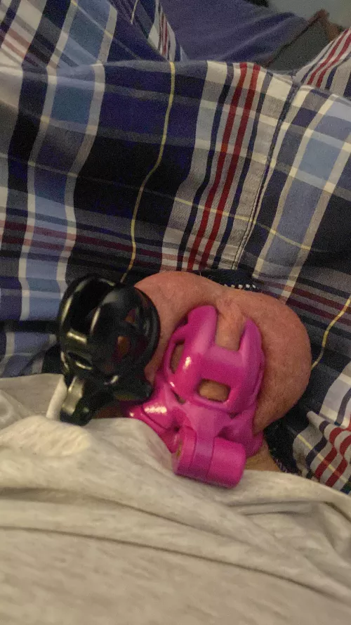 Actually back in the baby cobra. Small baby cobra for comparison by Proudlove1991