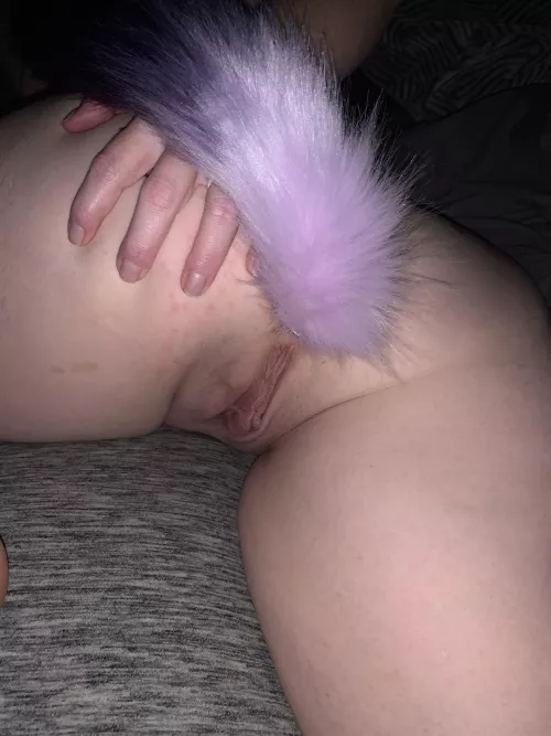 Added a new one to the collection by nameless8586