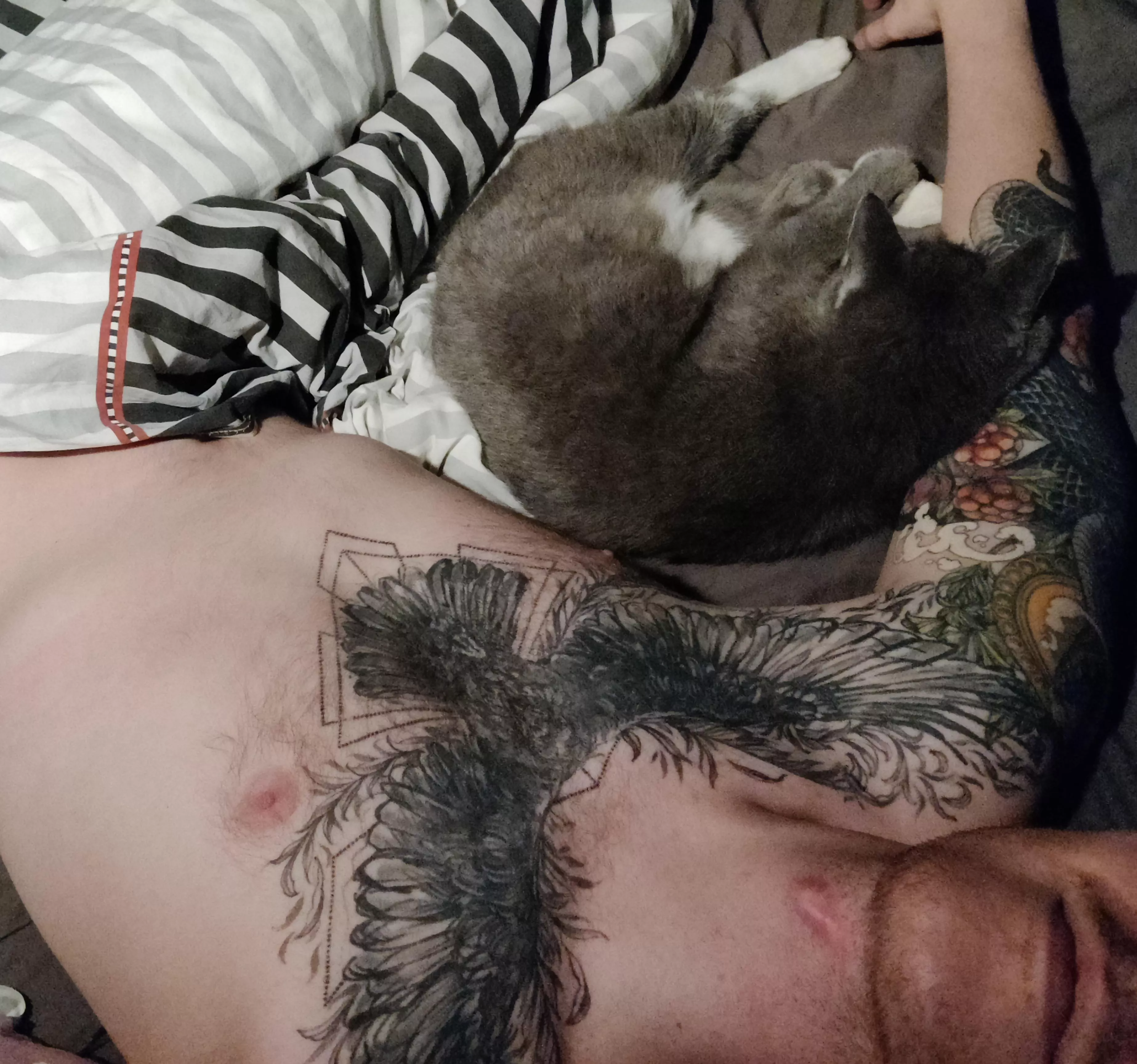 adding some wholesomeness 😘 posted by throwitawaycutiepie