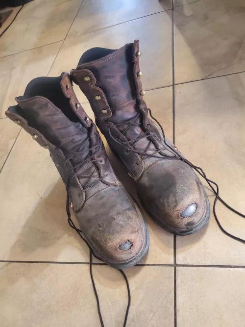 Advice for 3 month old Red Wings. I've heard that you could put some type of drying putty over the toes??? by MaryLungzz