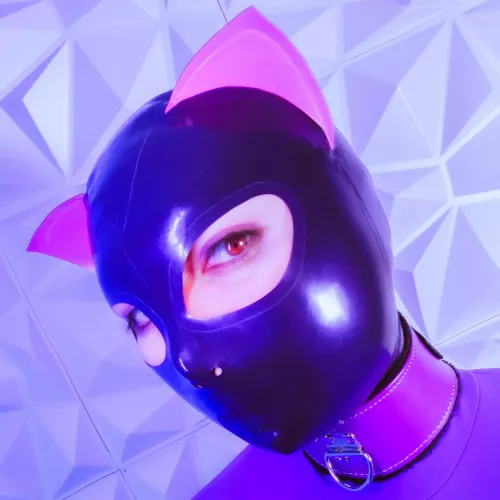 Aesthetic Kitty Hood by TheShinyJoy