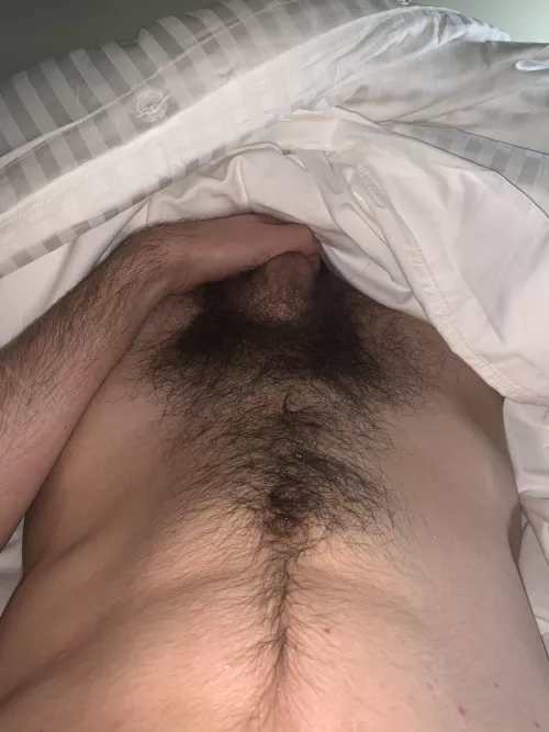 Afternoon nap and I thought my pubes looked nice by milkandtyleno