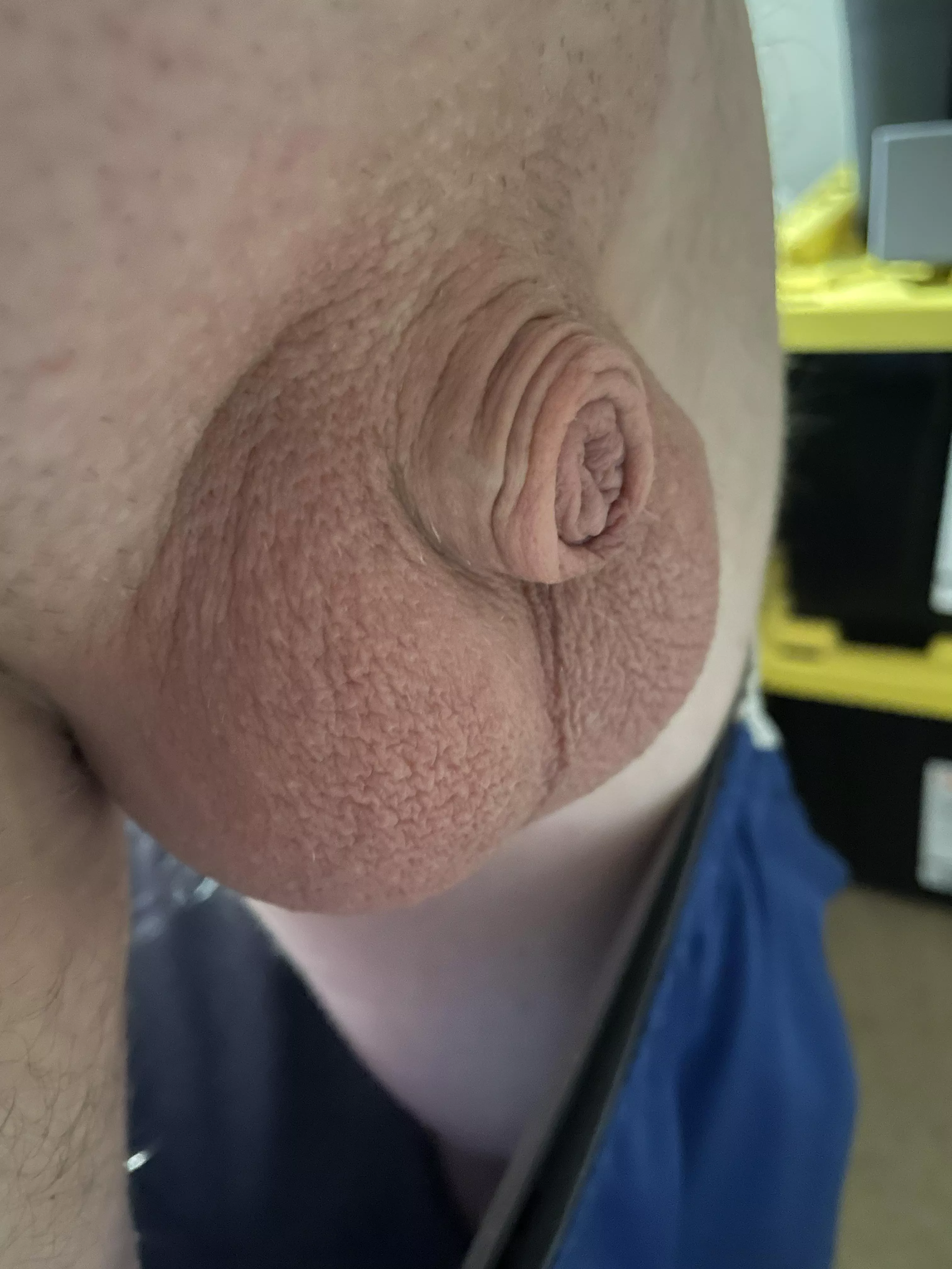 Afternoon picture (40) posted by Friendly-Jacket-1793