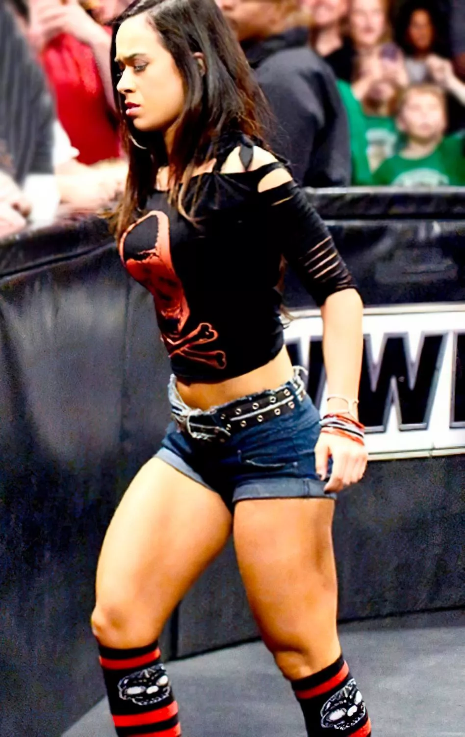 AJ Lee posted by KevTheElite1877