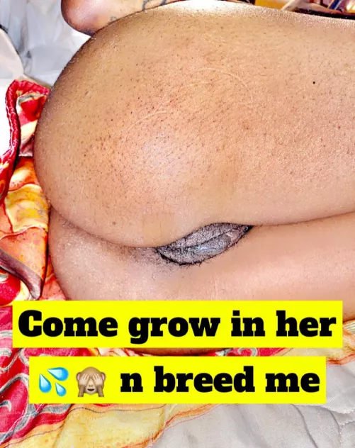 Alabama coon by Due_Cryptographer605