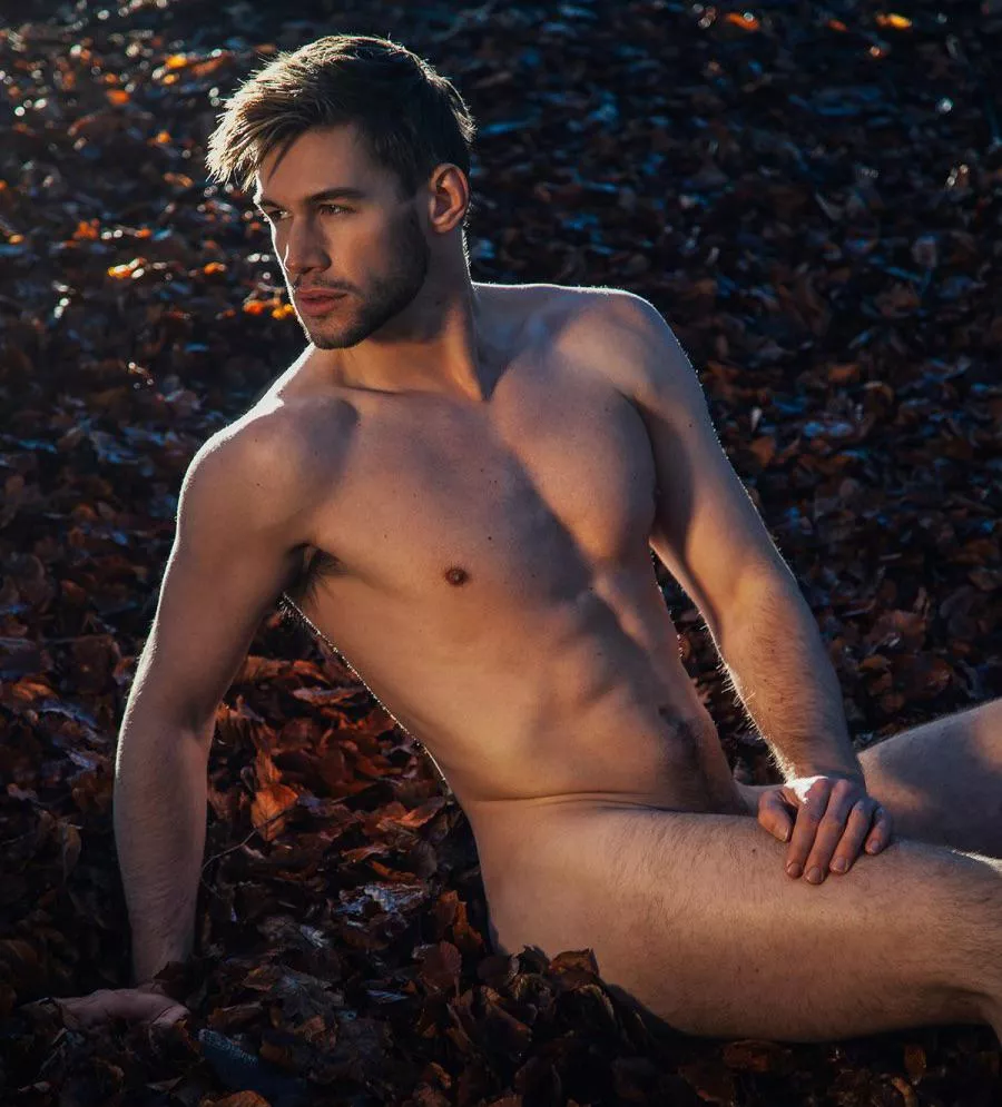 “Alexis Caught” … posted by neilfromsydney2003