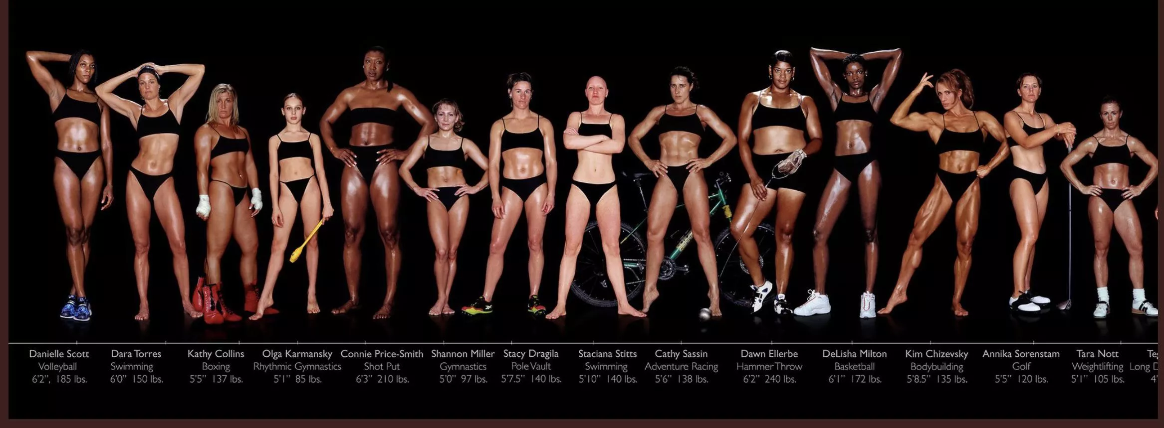 All of the sizes. posted by Nemofarmer