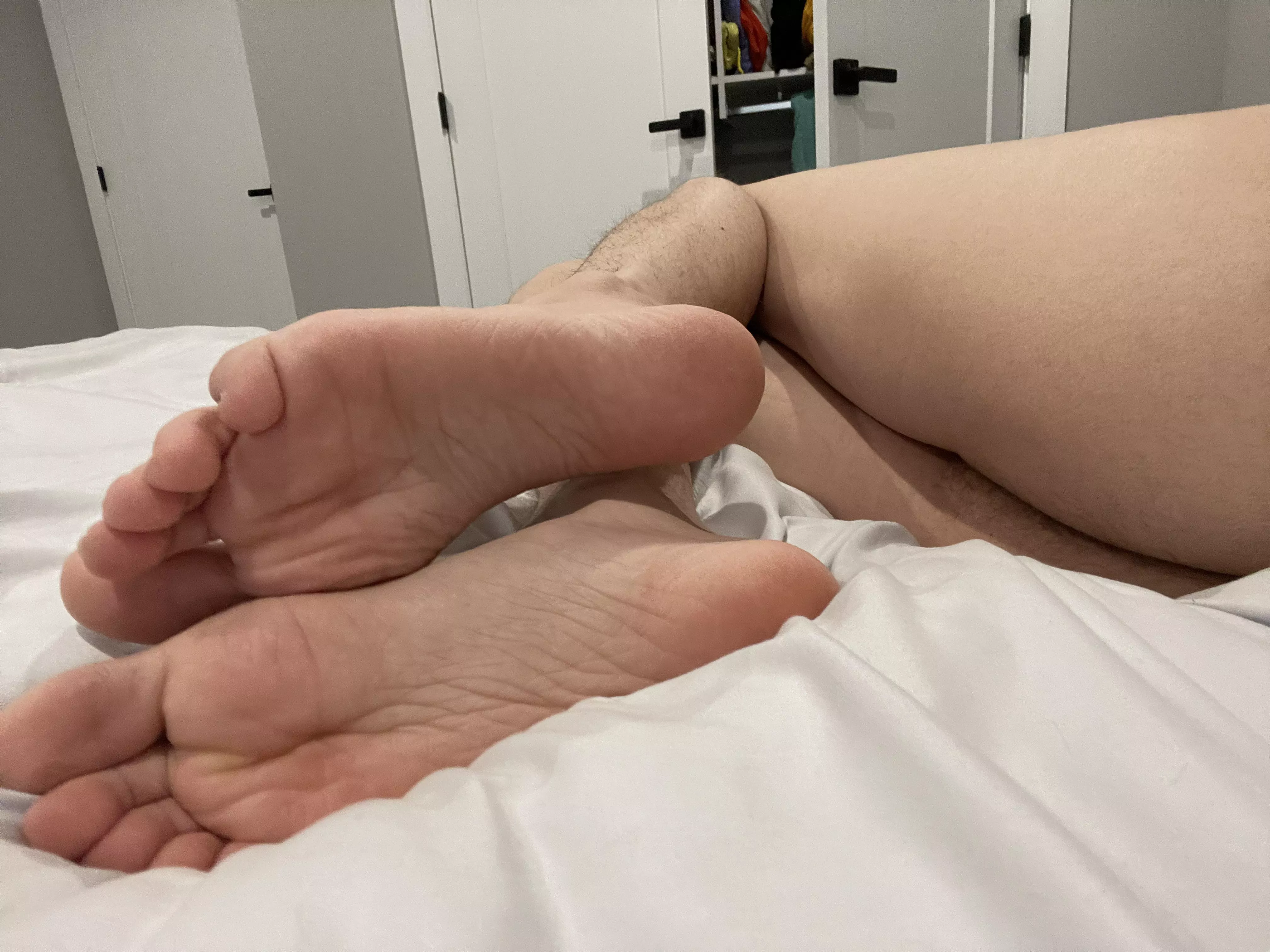 All out on display posted by ShrekAndDonkeyKong