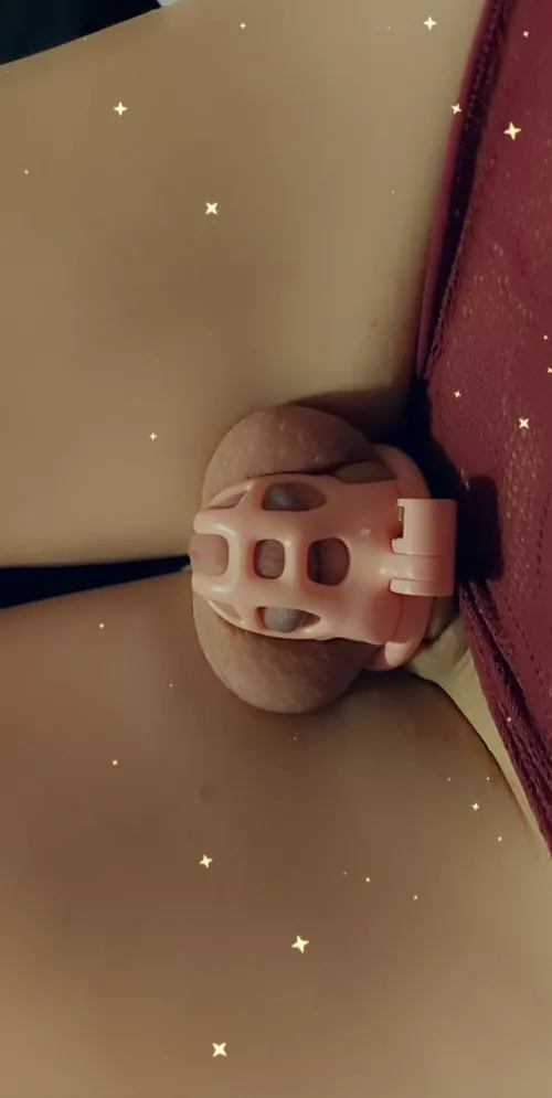 All snug 🙊😝 by -kermitTheFrog_96-