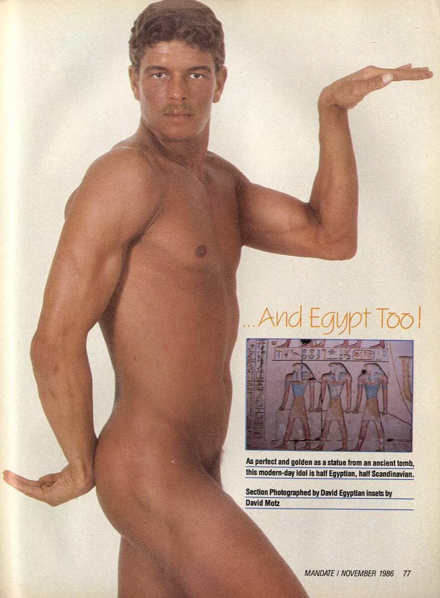 All the cops in the donut shop say posted by YorjYefferson