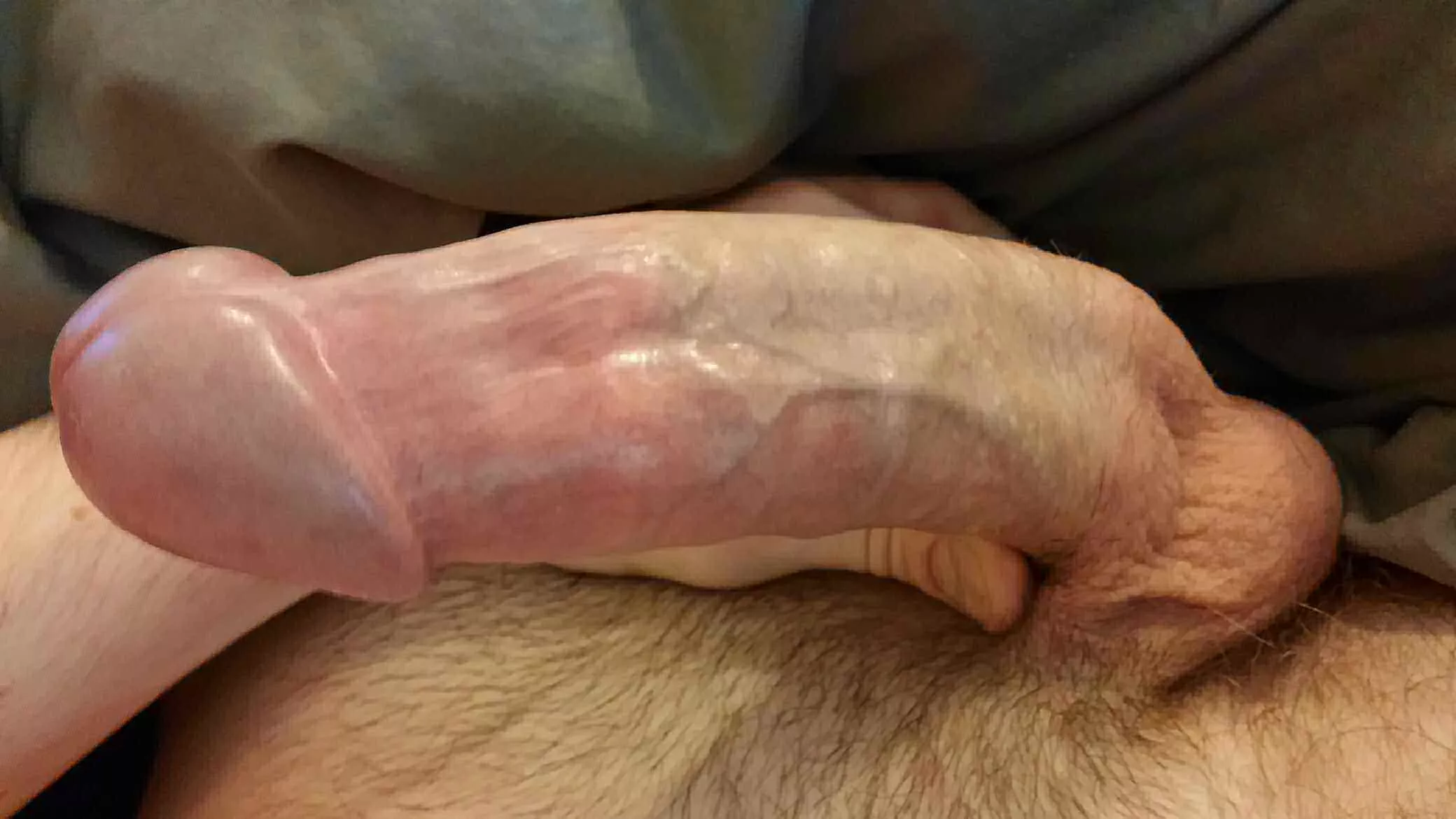 All Trimmed Up posted by 1canslam