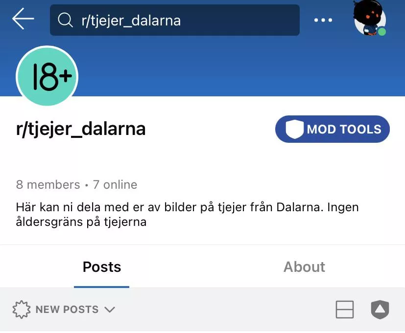 Alla checkar in detta tjejer_dalarna posted by svenskatjejer
