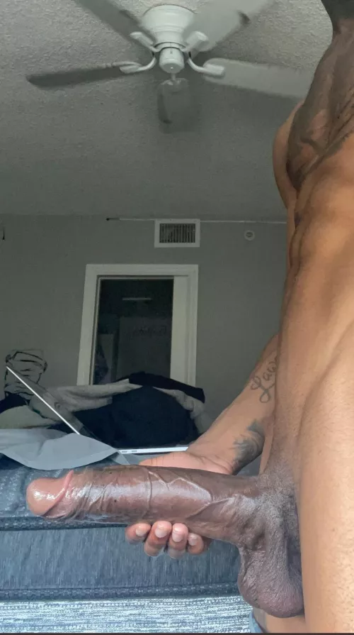 Almost couldnt fit it in the pic! by rezavordog76