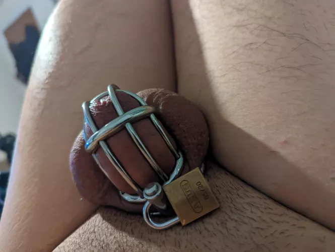 Almost got tempted to unlock, uploading will take my mind off. by smallcocklet