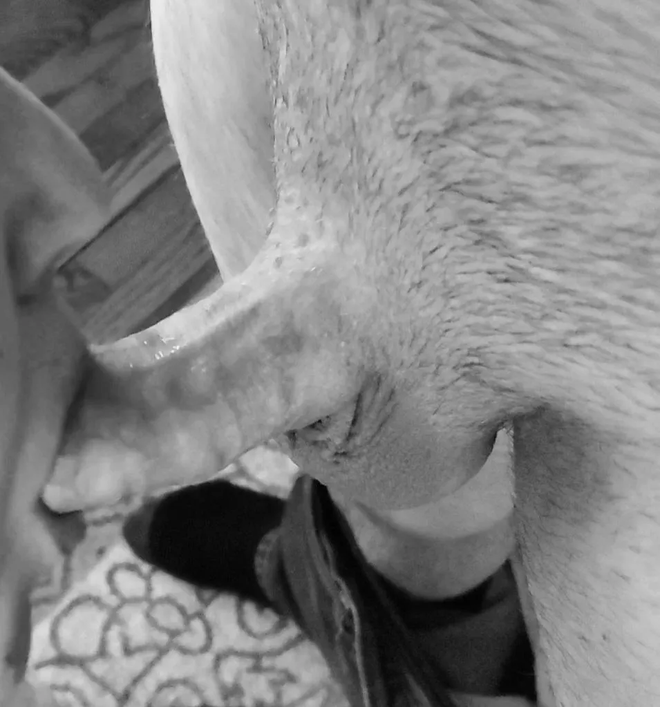 Almost there sweetie. Push in a little more. posted by LovingDominance