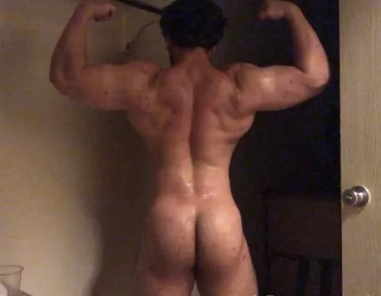 alpha flex posted by seanthecock