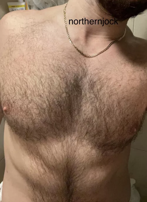 Alpha male hairy buff chest by northernjock