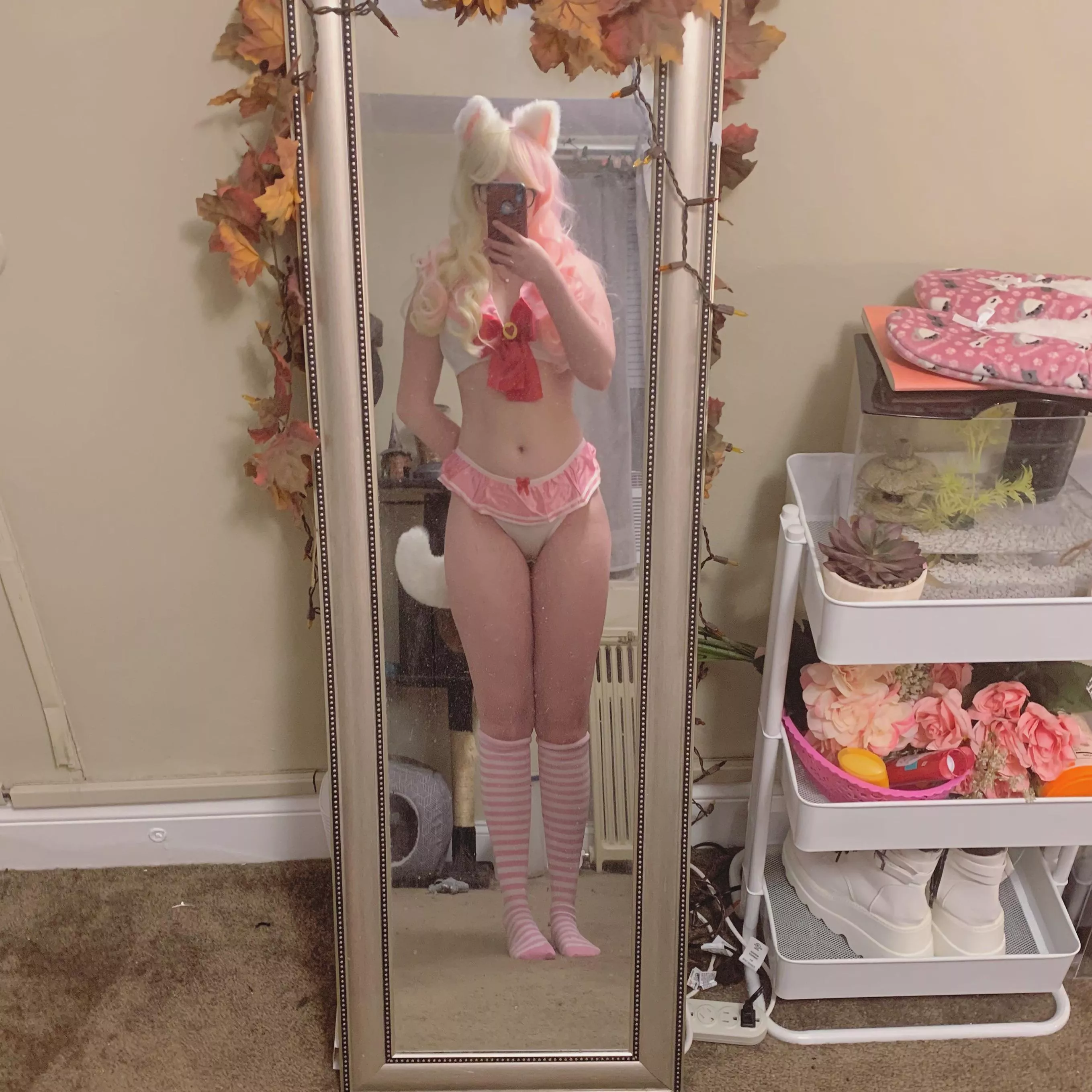 Always accepting pets on the head! 😻But never any tail pulling 🥺 posted by Hollie_BlueAgate