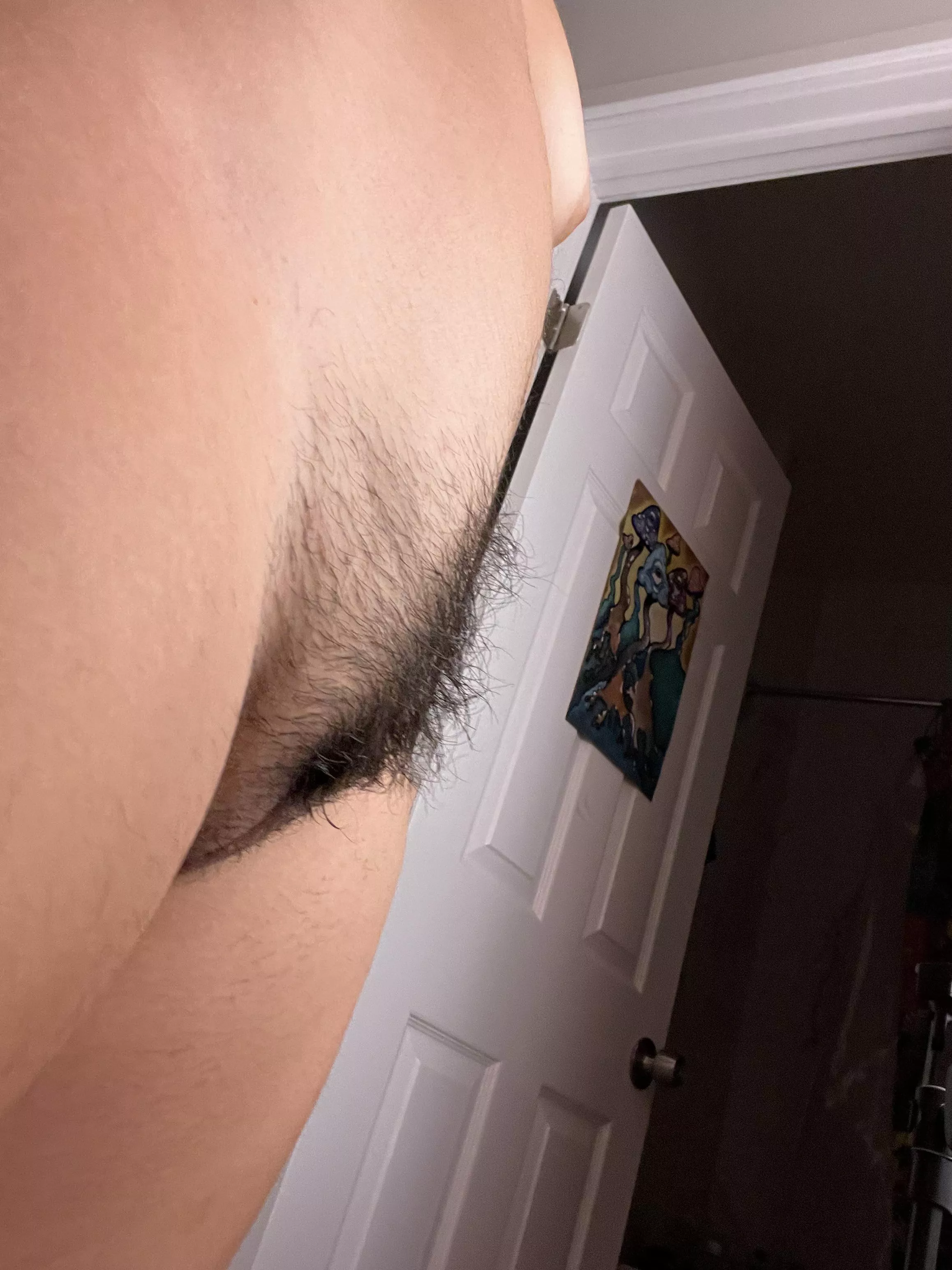 Always ready to be tugged! posted by anagrciaak