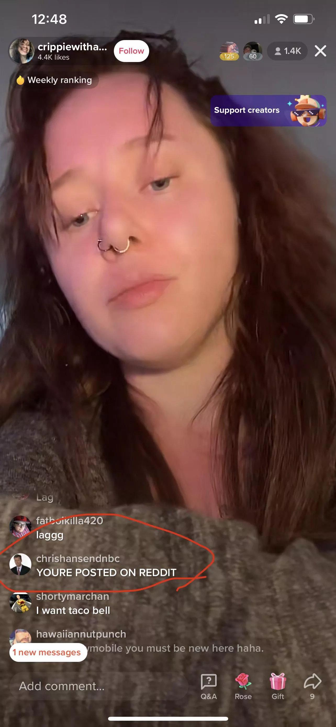 Always that one little snitch posted by Stephsmith0469