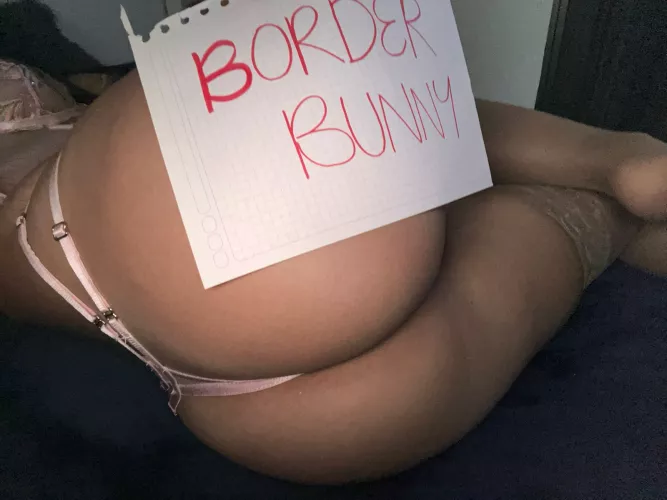 Am a Good Border Bunny? by Juana_dirt_sanchez