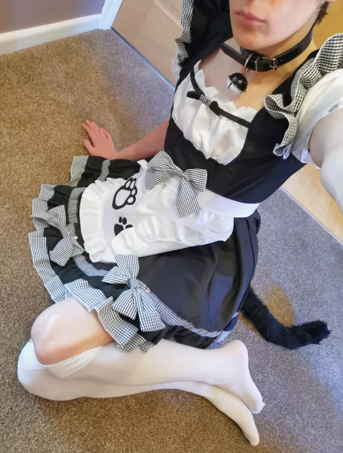 Am I a good kitten? 👉👈 by NowhereBound_