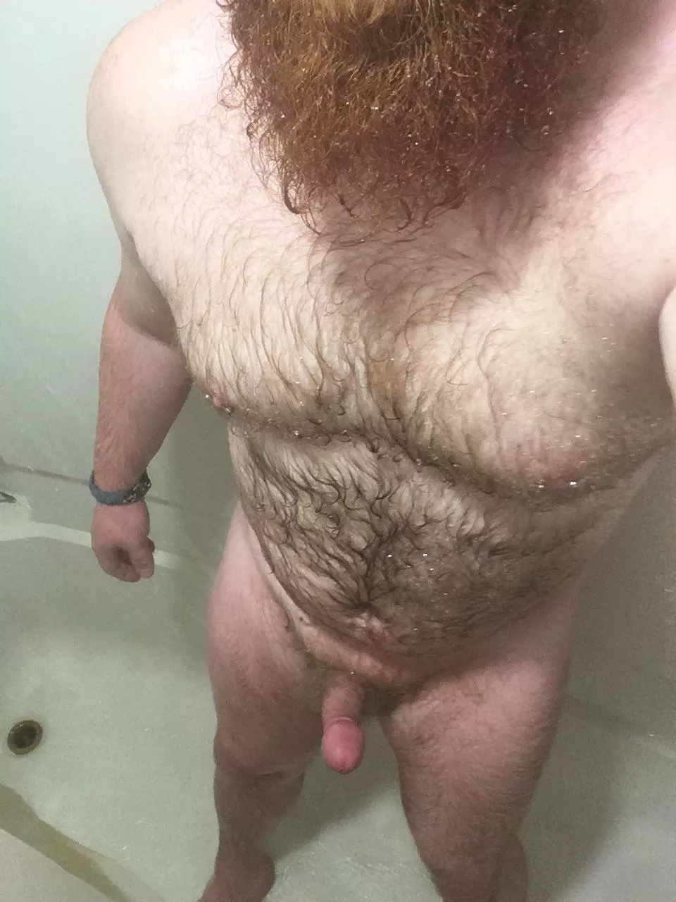 Am I a muscle cub? posted by Tytyhorny