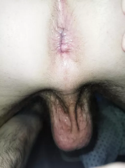 am I breedable? by GJ2278