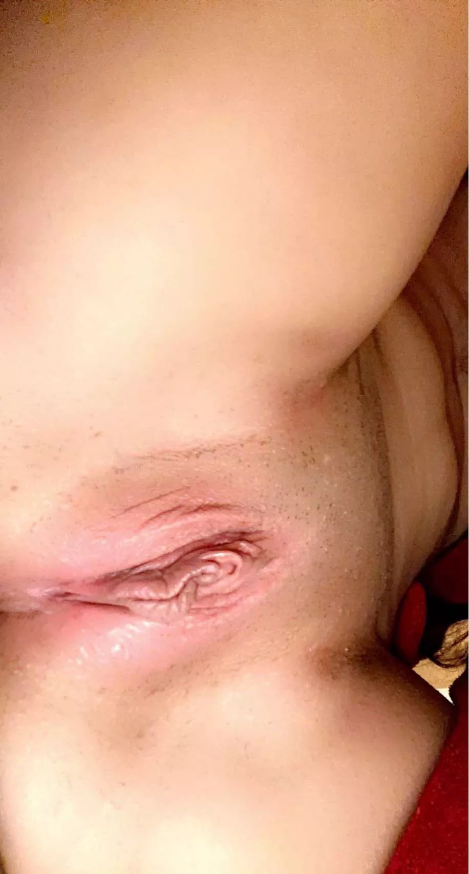 Am I breedable? I got low rates which makes me think about to get labiaplasty posted by DimenticatoPrincess