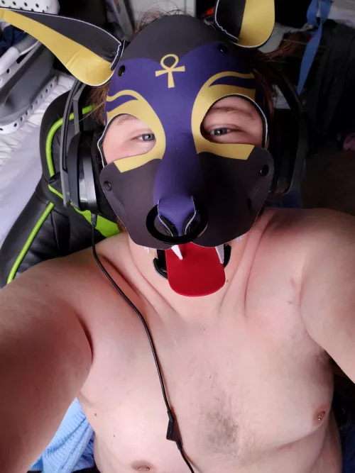 Am I cute? by Successful_Tap_1062