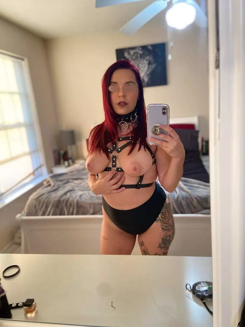 Am I doing this right?!? [F] posted by toraodyne