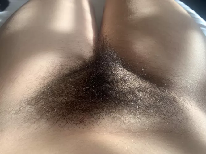 Am I too hairy for you to eat? by cherrythemistress