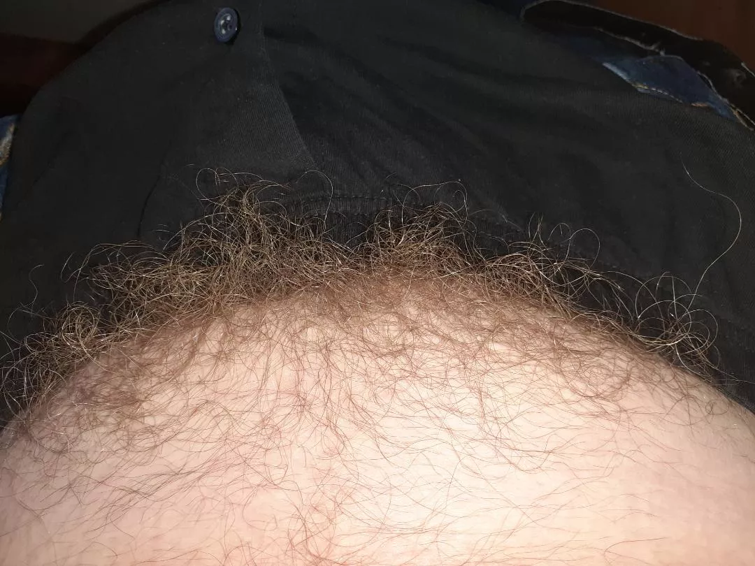 Amazed how long pubes can get ... posted by euryales