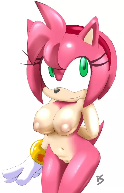 amy rose and her perfect body (is) by TylerHthefishboi