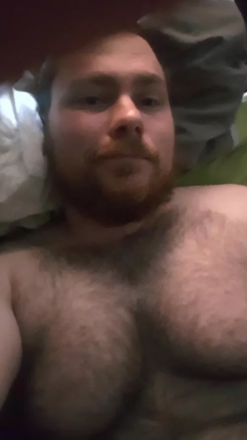 And hello again! just wondering if you guys would like to see more, i would post more stuff. by AroOctoBear