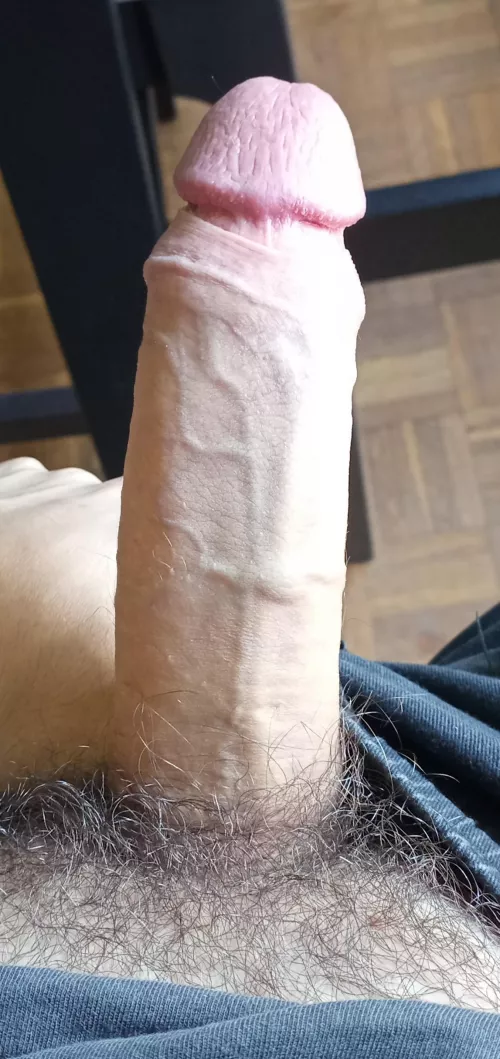 and here we go by plasticplaster