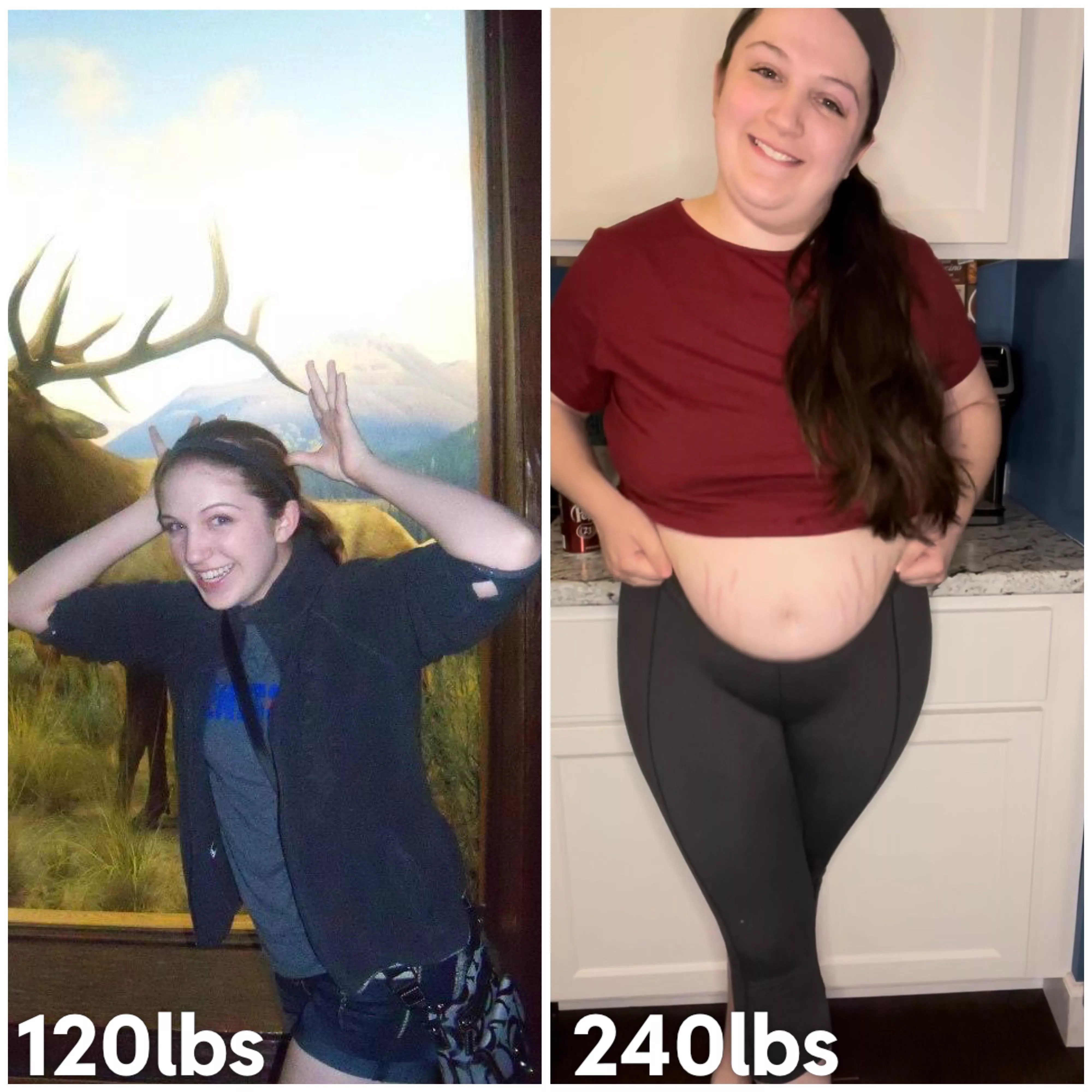 Animal Impression Expert Left 🦌Right 🐖 posted by Chipmunk3333