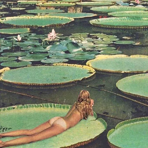 Annabelle Wallis by snappleman78