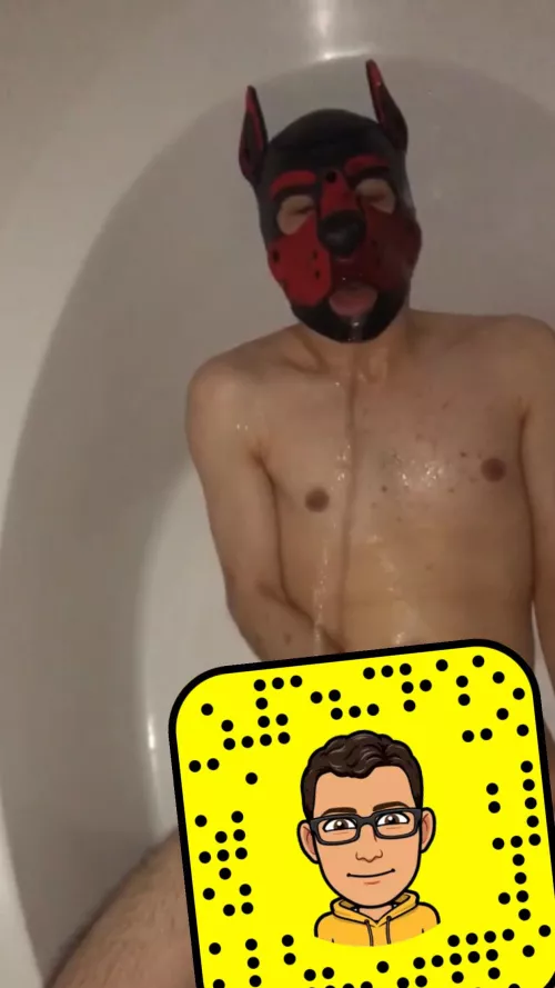 Anon fun by Ashamed_Answer_4645