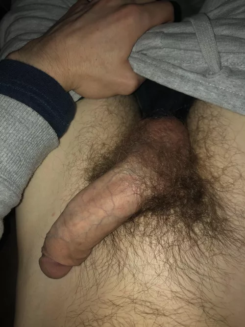 another by safari7261